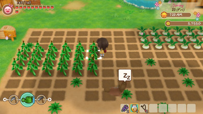 третий скриншот из Story of Seasons: Friends of Mineral Town