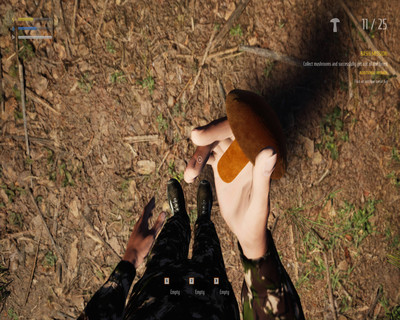 второй скриншот из Mushroom Picker Simulator
