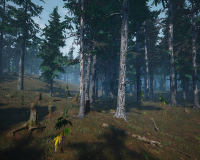 первый скриншот из Mushroom Picker Simulator