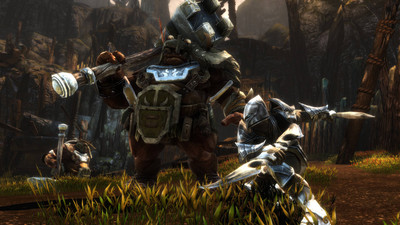 первый скриншот из Kingdoms of Amalur: Re-Reckoning