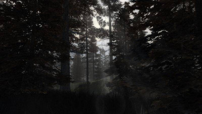 второй скриншот из Сталкер Dark Path