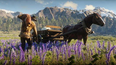 четвертый скриншот из Red Dead Redemption 2