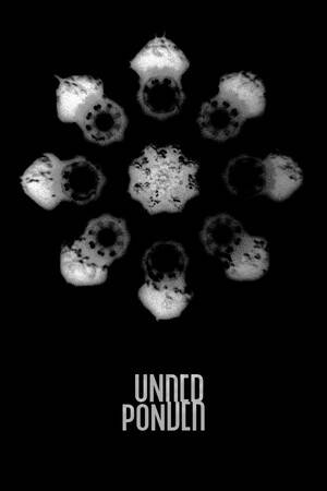 Underponder Underponder