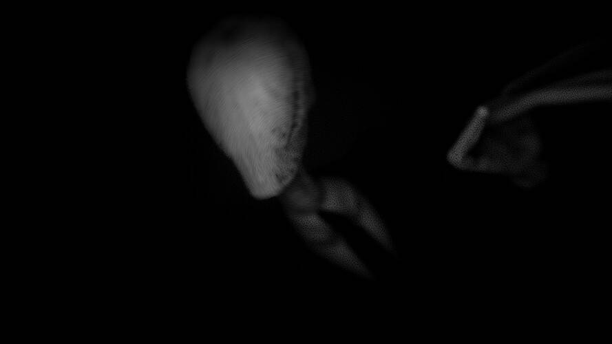 Slender - Dark Woods
