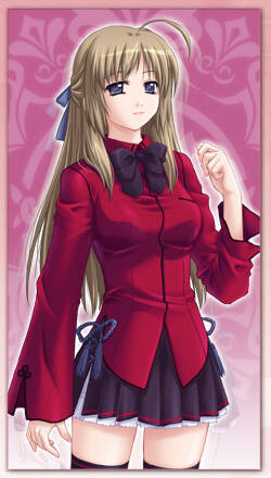 Shikigami ~Kikyou no Hana ni Himetaru Omoi~
