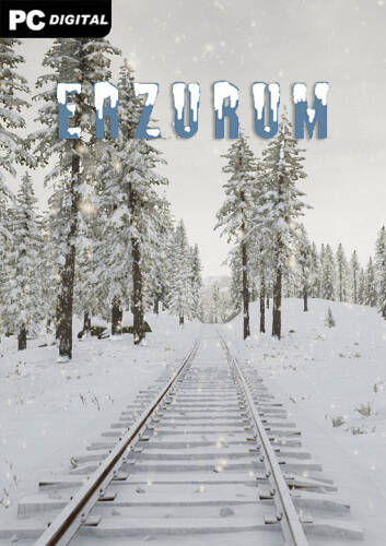 Erzurum