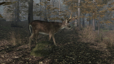 первый скриншот из Pro Deer Hunting 2