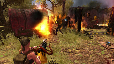 четвертый скриншот из How To Survive Third Person Standalone