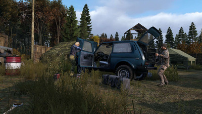 второй скриншот из DayZ