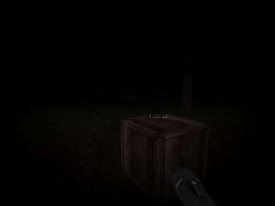 второй скриншот из Slender Wood's