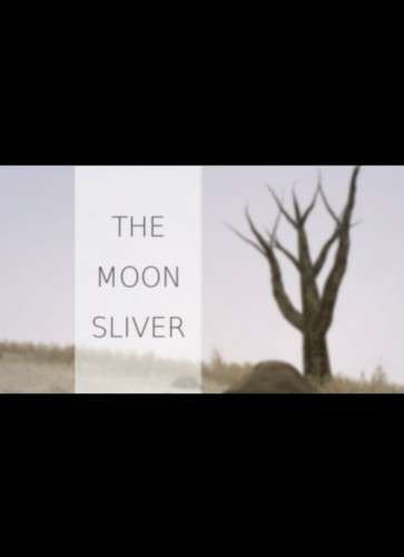 The Moon Sliver The Moon Sliver