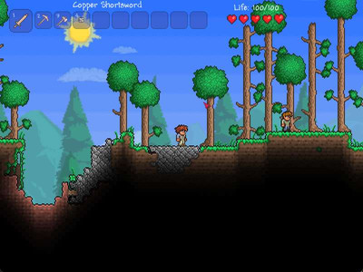 третий скриншот из Terraria — Collector's Edition