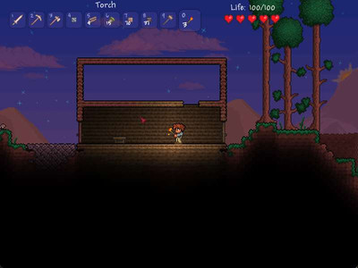 четвертый скриншот из Terraria — Collector's Edition