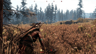 четвертый скриншот из This Land Is My Land
