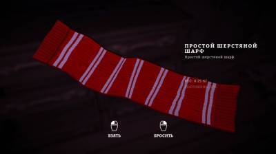 четвертый скриншот из The Long Dark