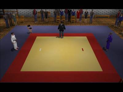 первый скриншот из 3D Judo Fighting