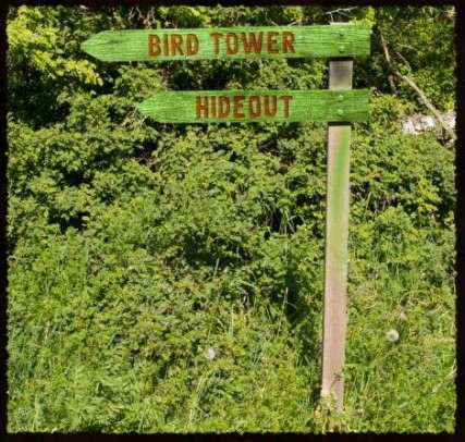 A Carol Reed Mystery 13: The Birdwatcher