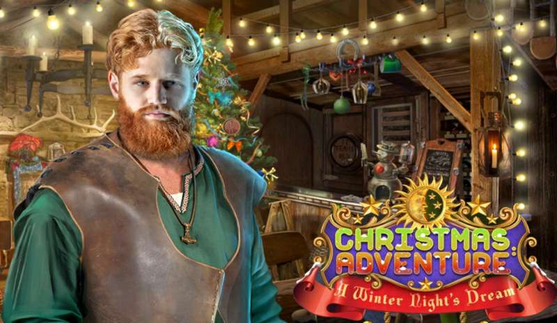 Christmas Adventures: A Winter Night's Dream