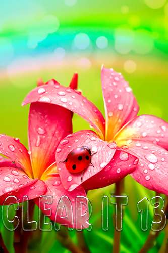 Clear It 13