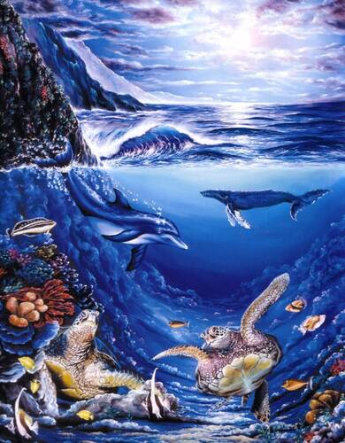 Underwater Puzzle