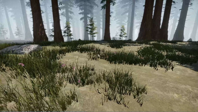 первый скриншот из Missing Plane: Survival