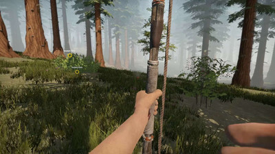 четвертый скриншот из Missing Plane: Survival
