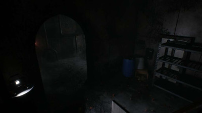 второй скриншот из Amidst The Darkness