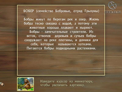 третий скриншот из Агентство Котопёс. По следам невиданных зверей