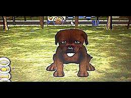 первый скриншот из Puppy Luv Adventures / Четвероногие друзья. Забавные щенки