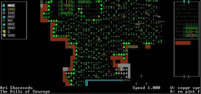 второй скриншот из Dwarf Fortress