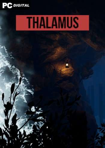 Thalamus Thalamus