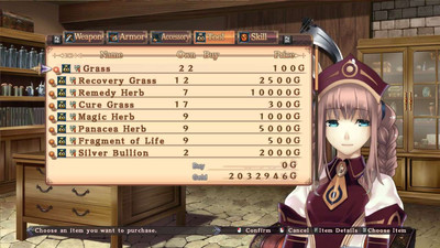 четвертый скриншот из Record of Agarest War Zero