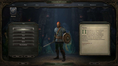 второй скриншот из Pillars of Eternity: Royal Edition
