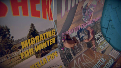 первый скриншот из SkateBIRD