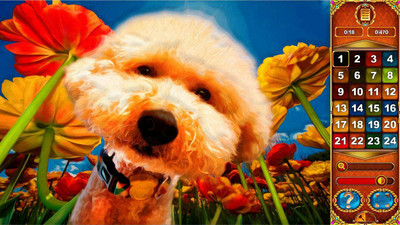 второй скриншот из Art Coloring 10