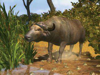первый скриншот из Cabelas BIG GAME hunter 2009