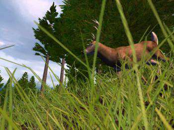 первый скриншот из Hunting Unlimited 2008