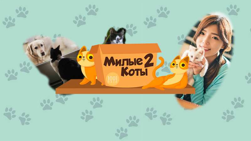 1001 Jigsaw: Cute Cats 2 / 1001 Пазл: Милые коты 2