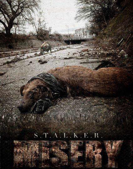 S.T.A.L.K.E.R.: Call of Pripyat - MISERY
