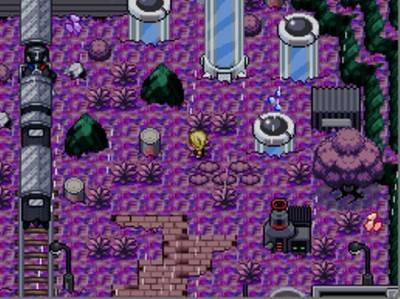 четвертый скриншот из Pokemon Reborn