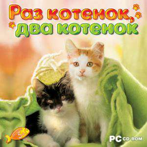 Раз котенок, два котенок