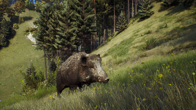 четвертый скриншот из Way of the Hunter