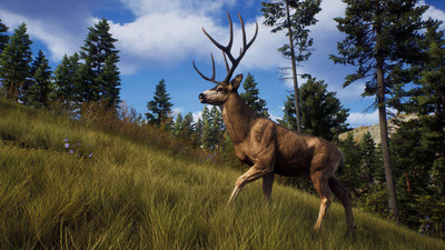 второй скриншот из Way of the Hunter