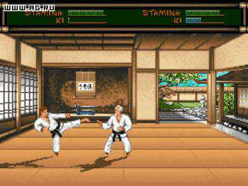 третий скриншот из Budokan: Martial Spirit