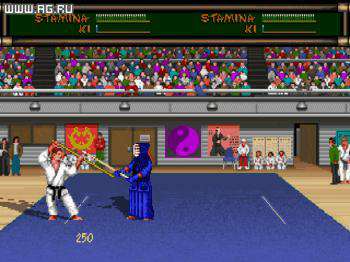 четвертый скриншот из Budokan: Martial Spirit