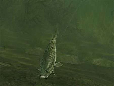 второй скриншот из Berkley Bass Tournament Tycoon