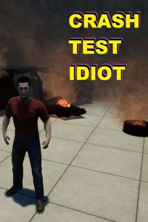 CRASH TEST IDIOT
