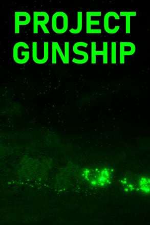 Project Gunship