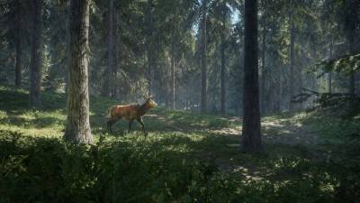 второй скриншот из TheHunter: Call of the Wild