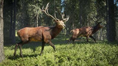 третий скриншот из TheHunter: Call of the Wild
